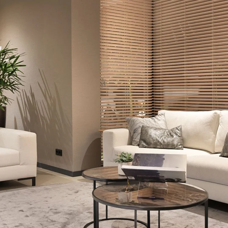 Raamdecoratie zonwering Eliens 2